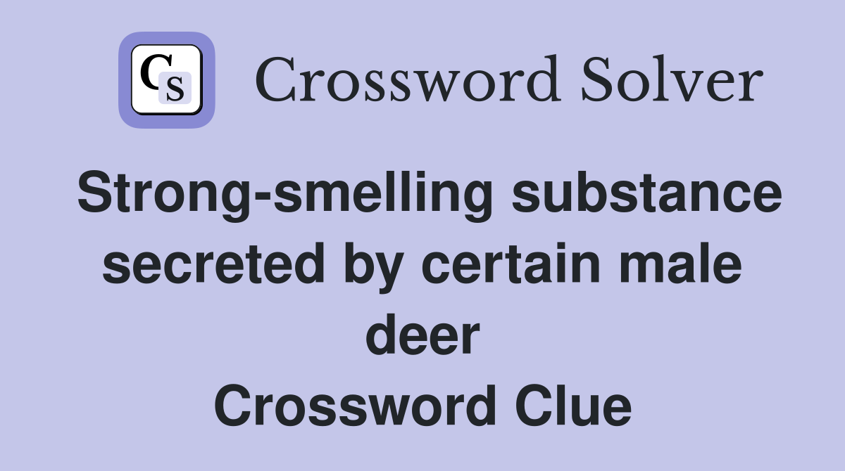 Strong-smelling substance secreted by certain male deer Crossword Clue