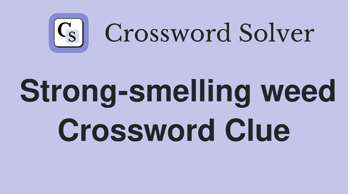 Strong-smelling weed Crossword Clue