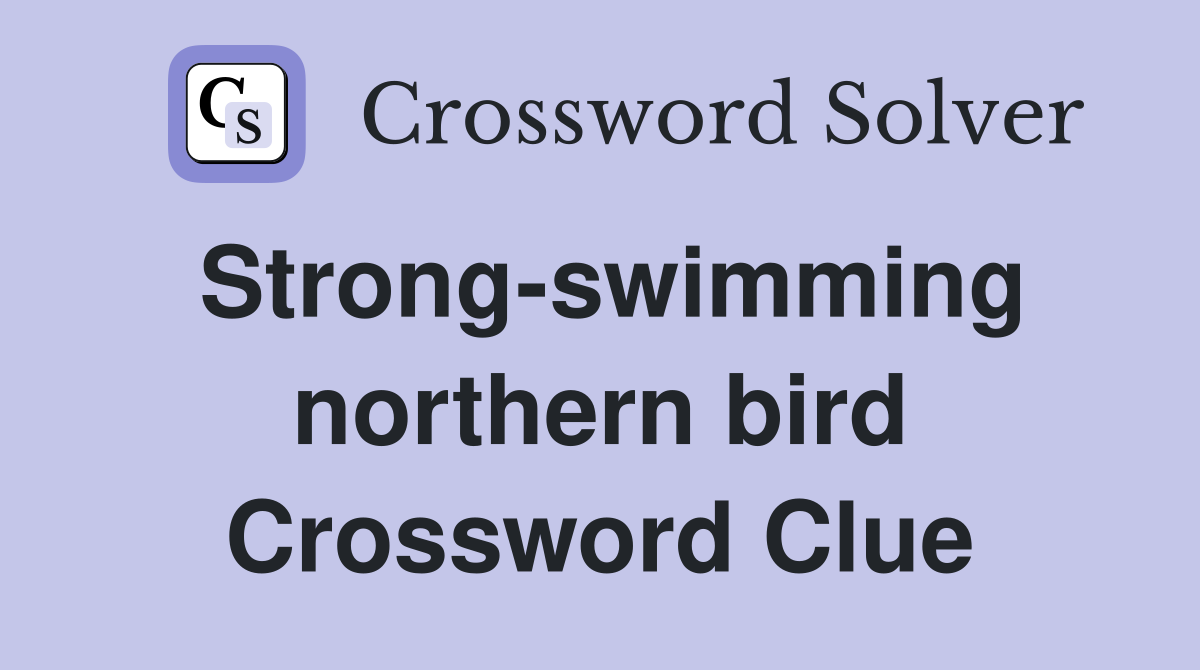 Strong-swimming northern bird Crossword Clue