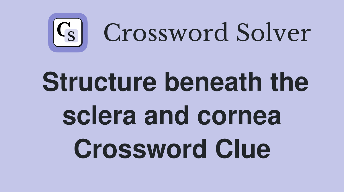 Structure beneath the sclera and cornea Crossword Clue