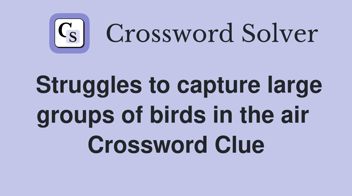 Struggles to capture large groups of birds in the air  Crossword Clue