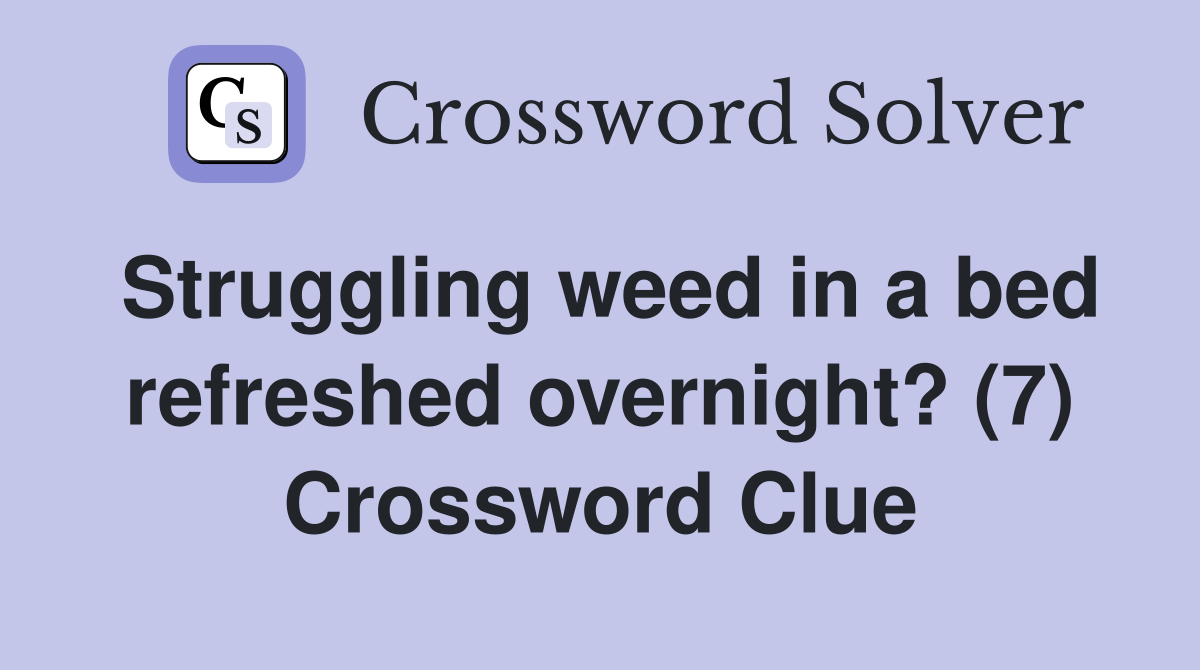 Struggling weed in a bed refreshed overnight? (7) Crossword Clue