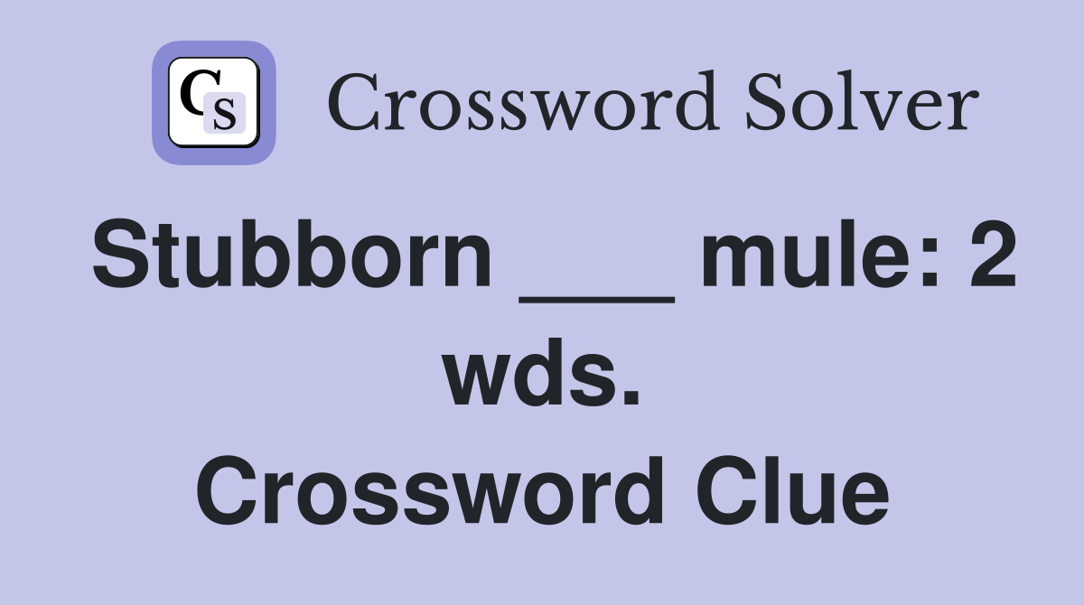 Stubborn ___ mule: 2 wds. Crossword Clue