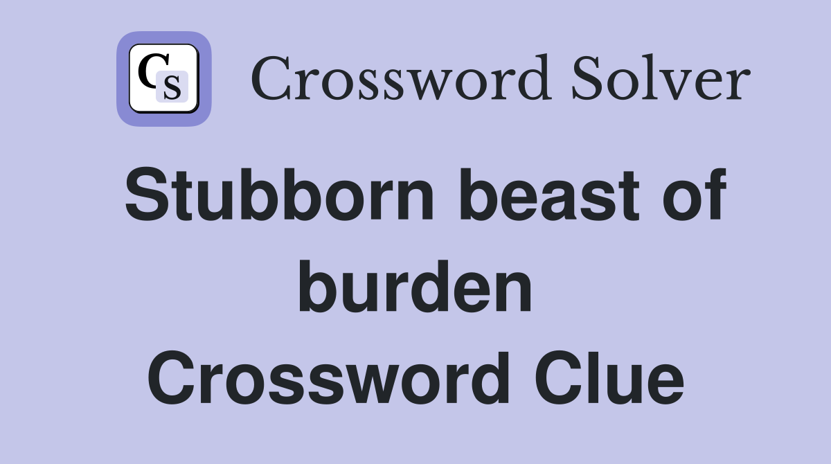 Stubborn beast of burden Crossword Clue
