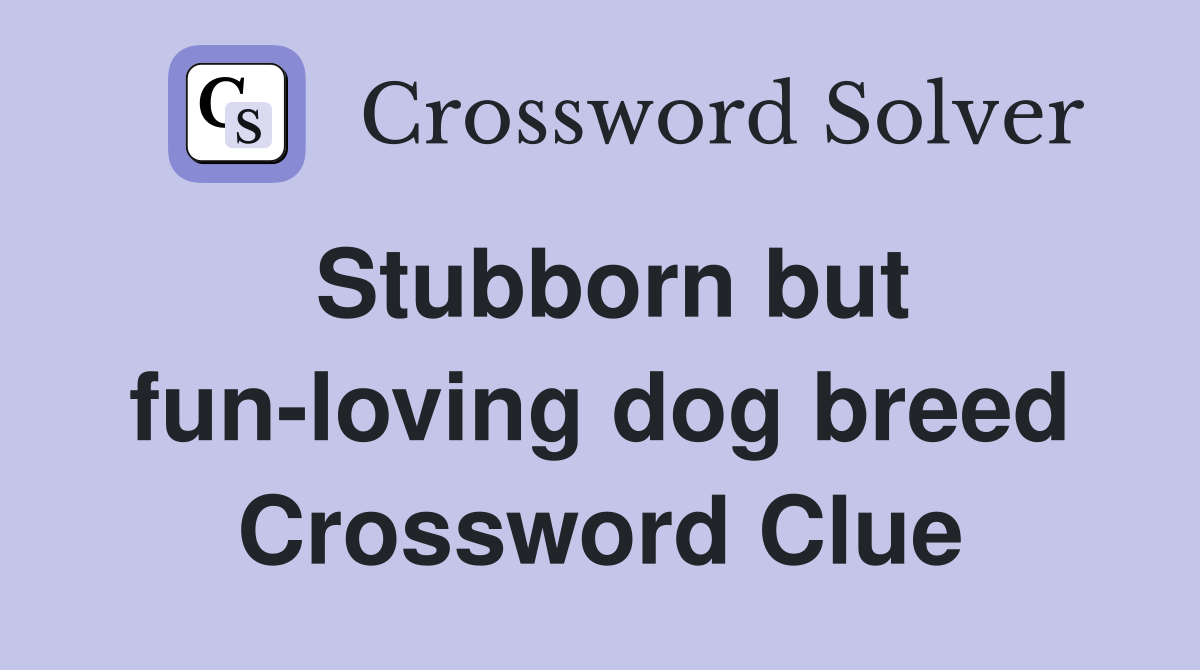 Stubborn but fun-loving dog breed Crossword Clue