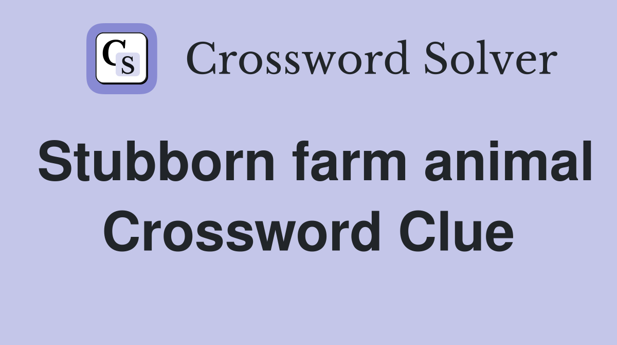 Stubborn farm animal Crossword Clue