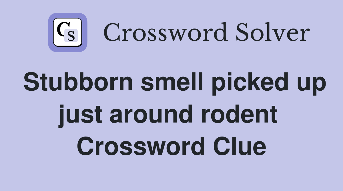 Stubborn smell picked up just around rodent  Crossword Clue