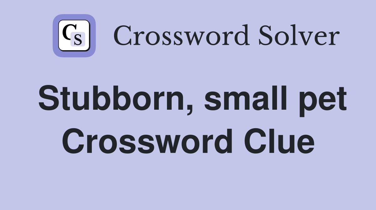 Stubborn, small pet Crossword Clue