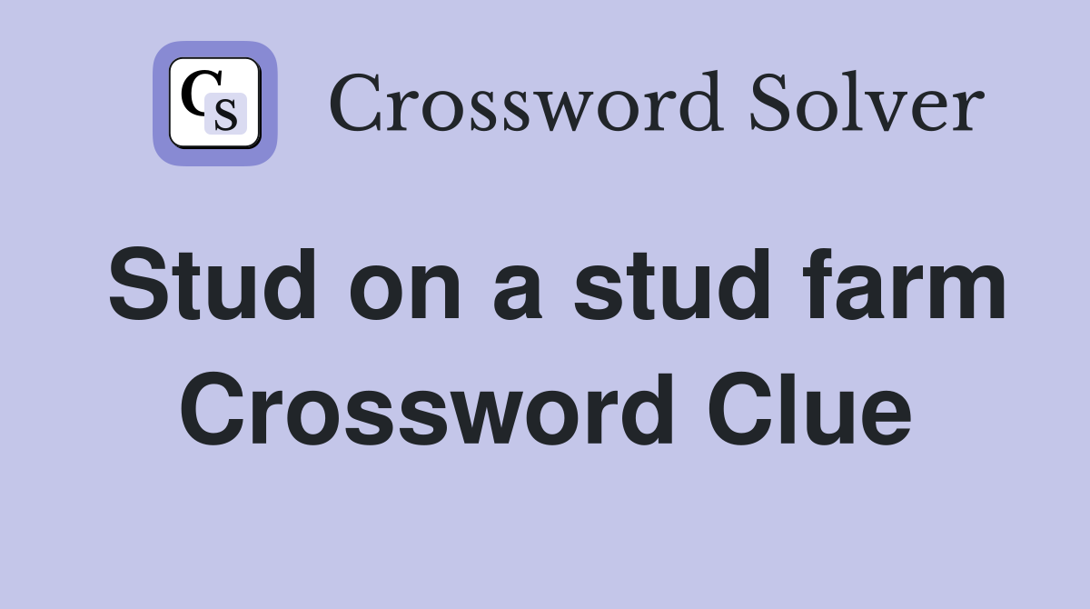 Stud on a stud farm Crossword Clue