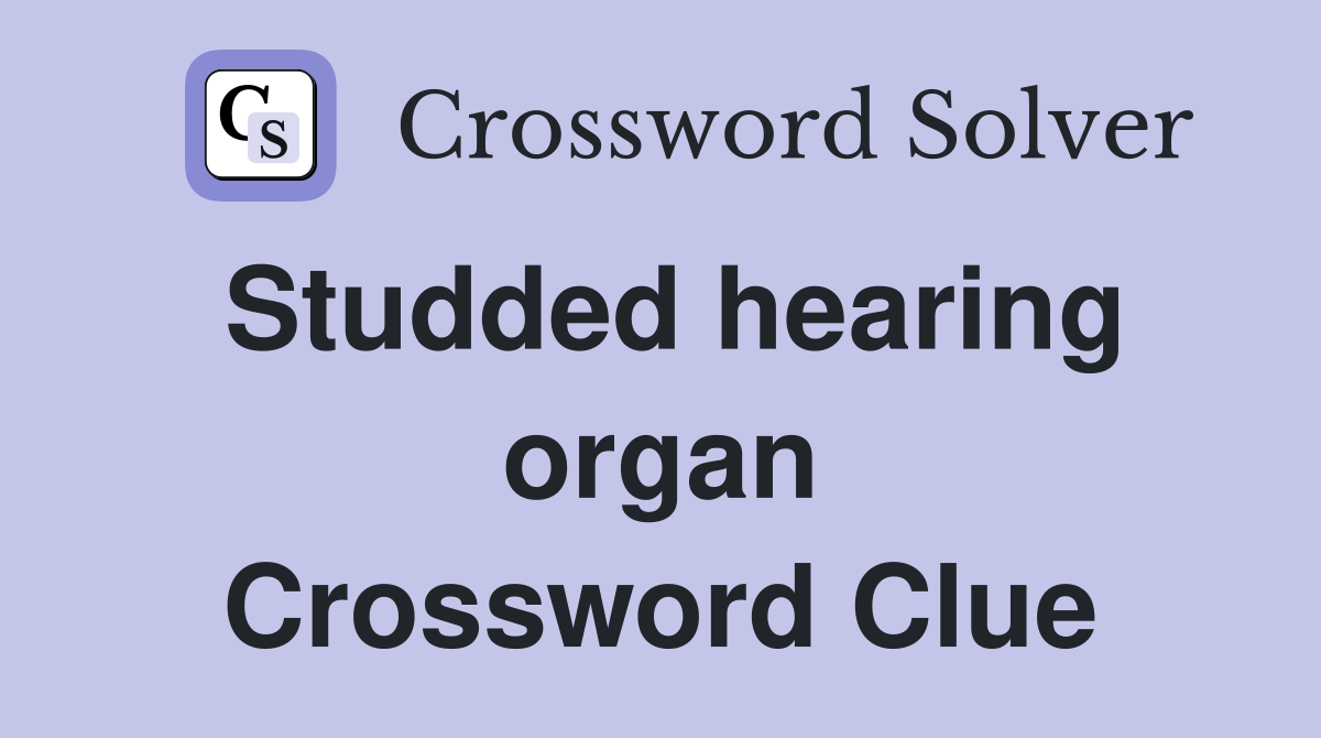 Studded hearing organ Crossword Clue