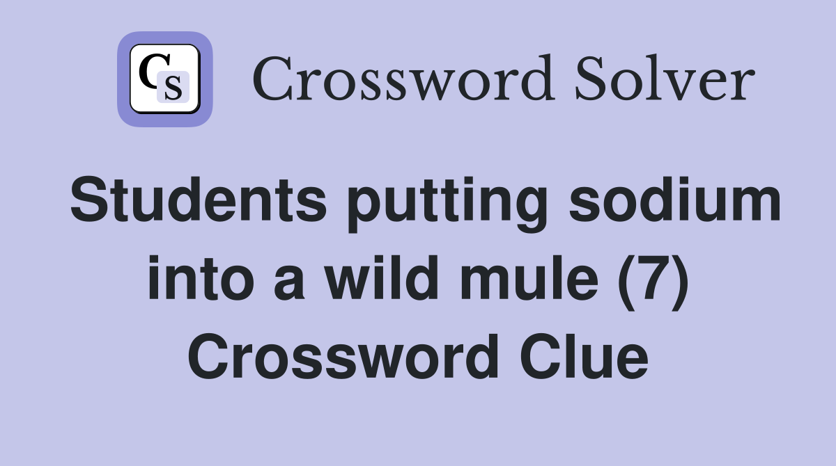 Students putting sodium into a wild mule (7) Crossword Clue