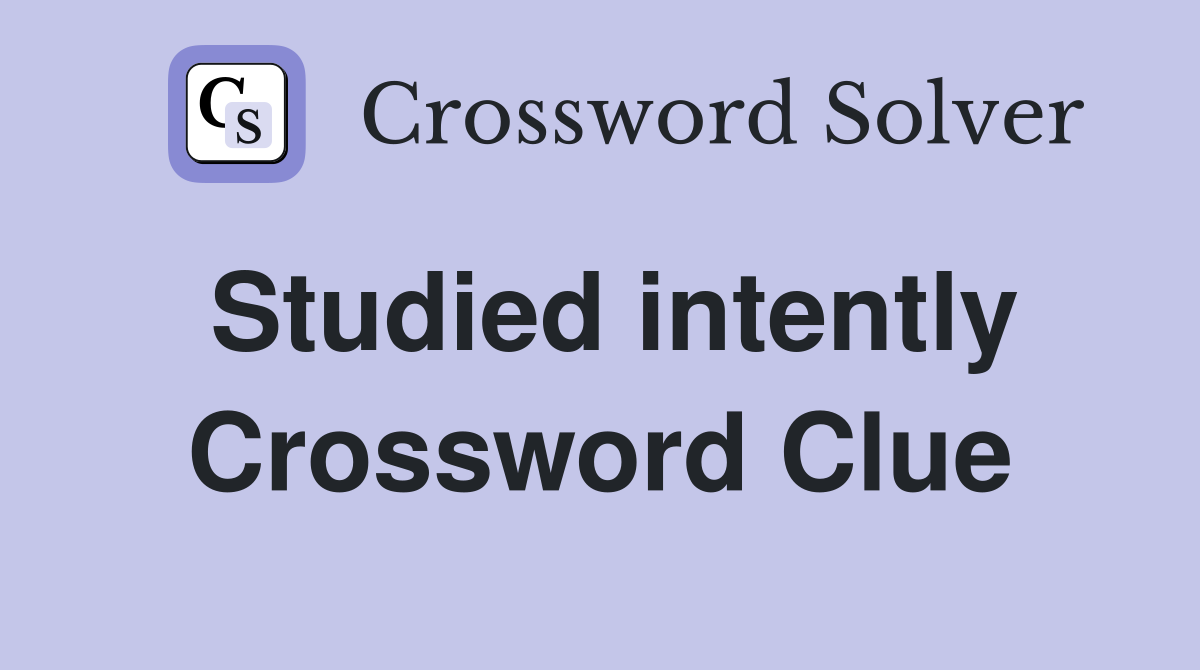 Studied intently Crossword Clue