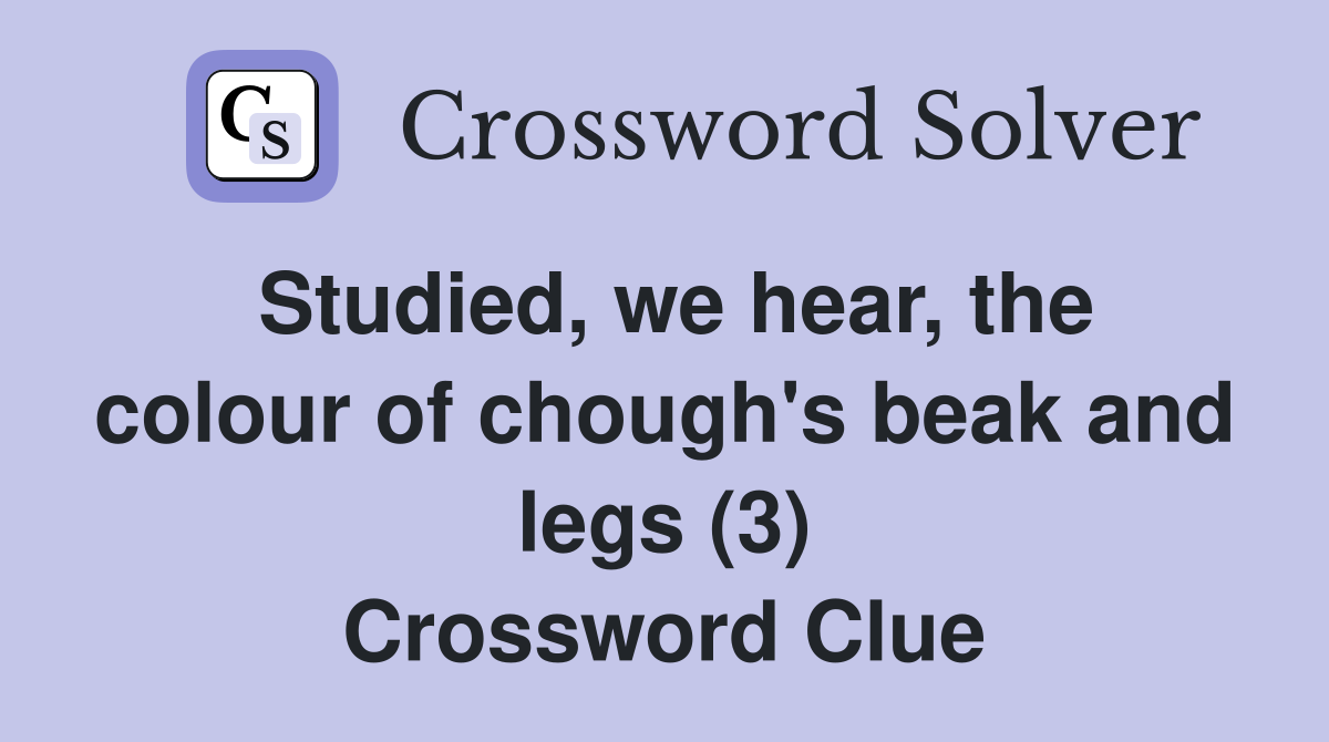 Studied, we hear, the colour of chough's beak and legs (3) Crossword Clue