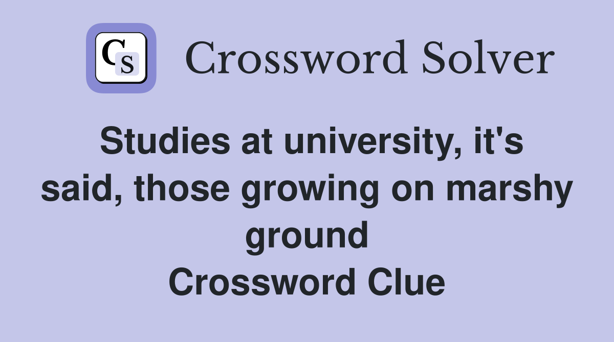 Studies at university, it's said, those growing on marshy ground Crossword Clue