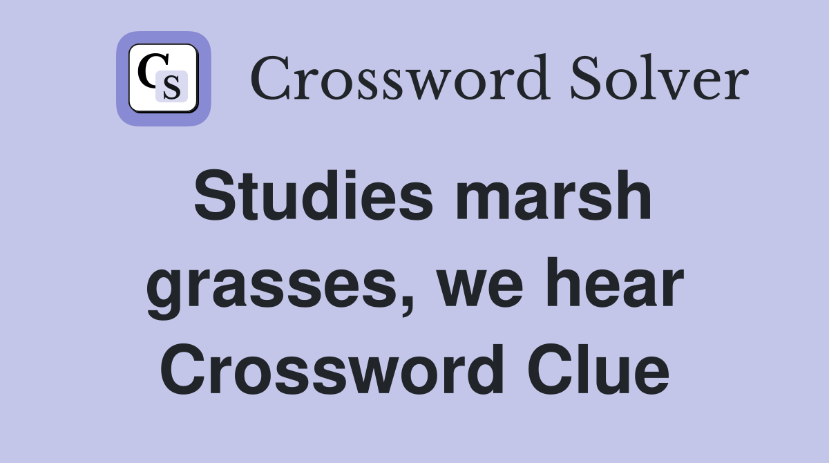 Studies marsh grasses, we hear Crossword Clue