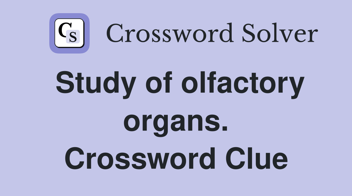 Study of olfactory organs. Crossword Clue