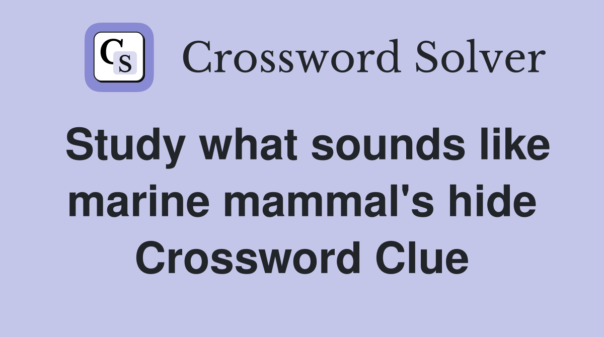 Study what sounds like marine mammal's hide Crossword Clue