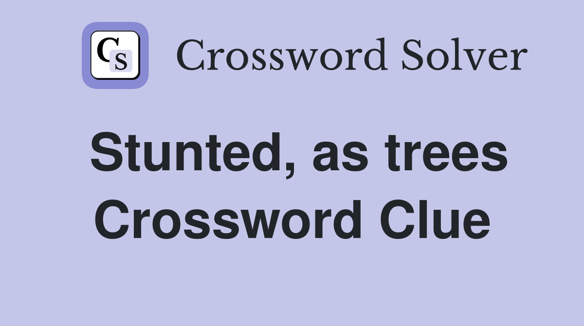 Stunted, as trees Crossword Clue