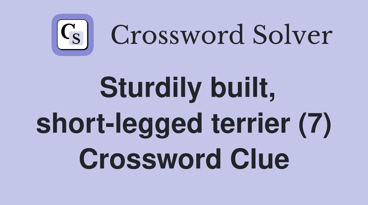 Sturdily built, short-legged terrier (7) Crossword Clue