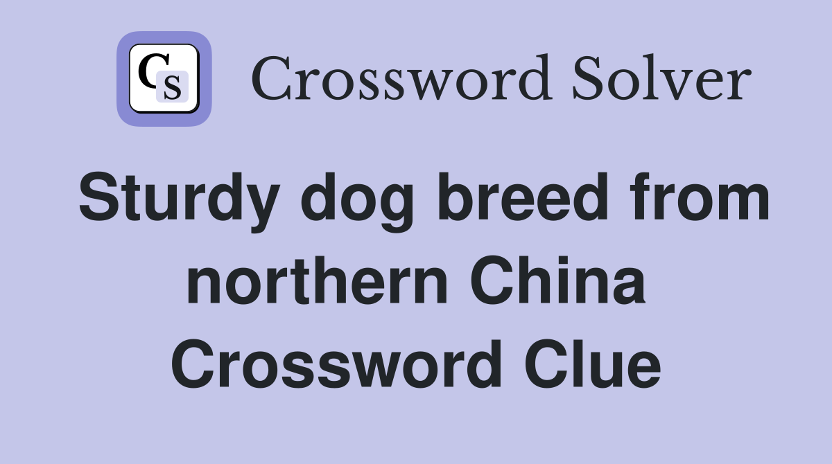 Sturdy dog breed from northern China Crossword Clue