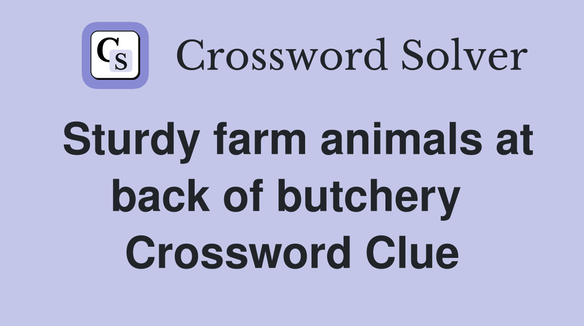 Sturdy farm animals at back of butchery  Crossword Clue
