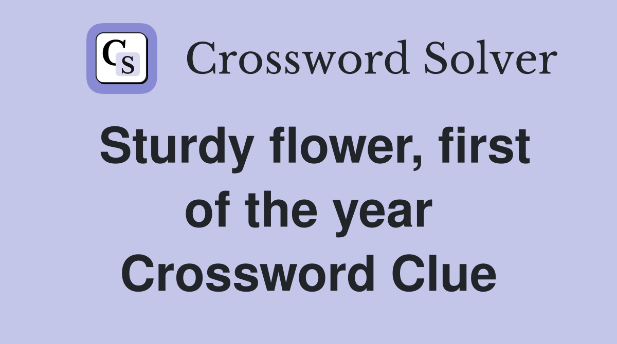 Sturdy flower, first of the year Crossword Clue
