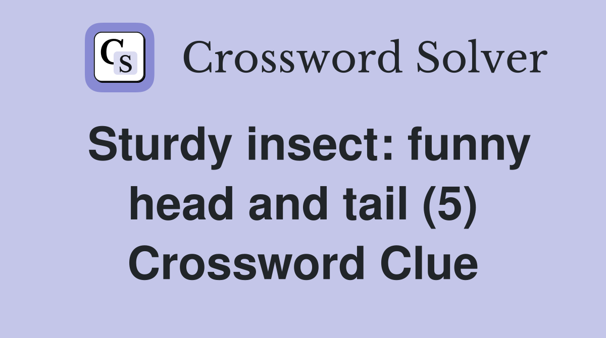 Sturdy insect: funny head and tail (5) Crossword Clue