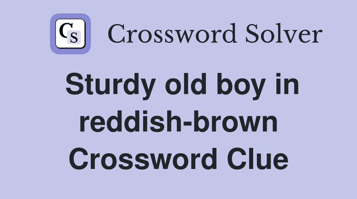 Sturdy old boy in reddish-brown Crossword Clue