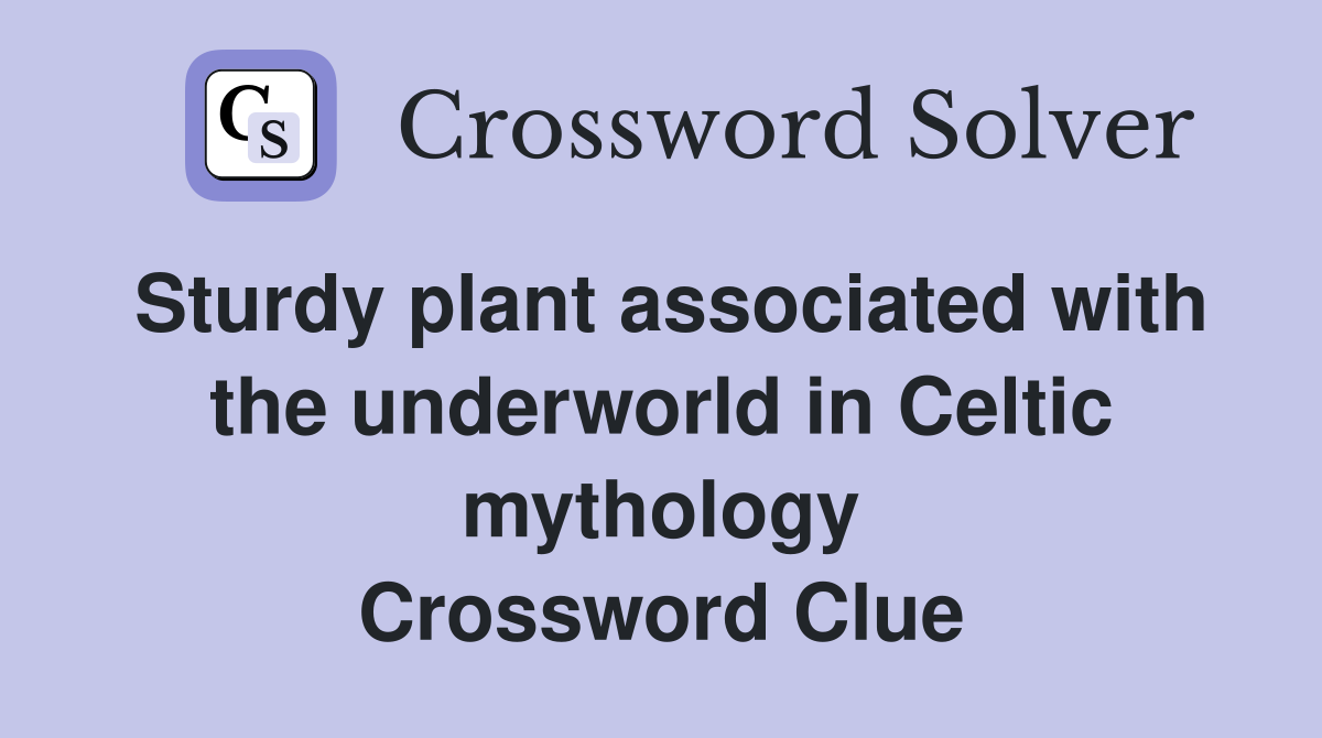 Sturdy plant associated with the underworld in Celtic mythology Crossword Clue