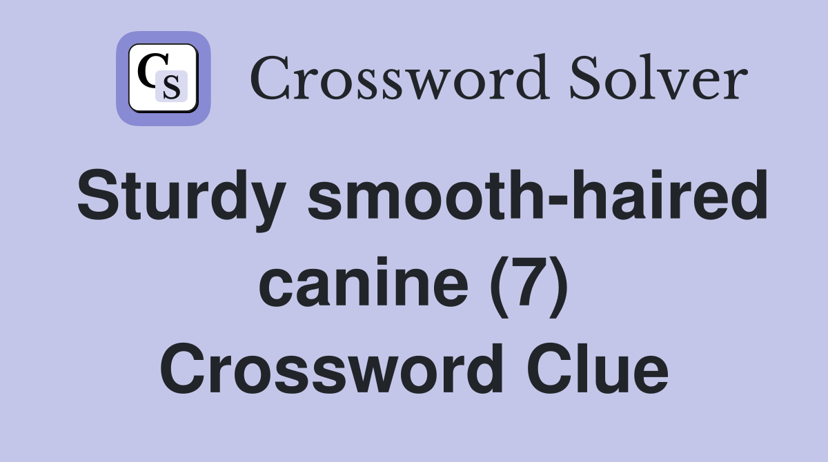 Sturdy smooth-haired canine (7) Crossword Clue