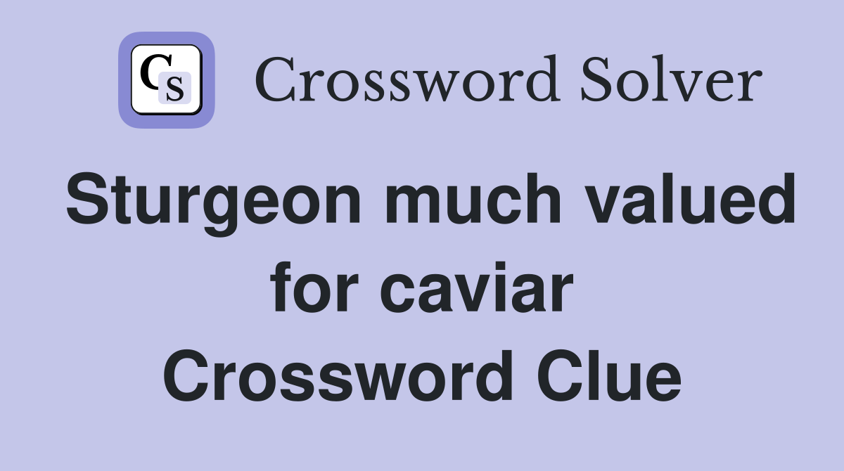 Sturgeon much valued for caviar Crossword Clue