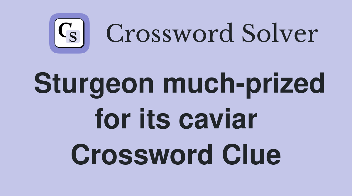 Sturgeon much-prized for its caviar Crossword Clue