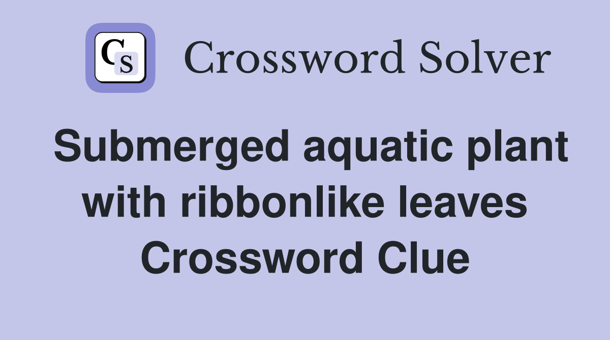 Submerged aquatic plant with ribbonlike leaves Crossword Clue