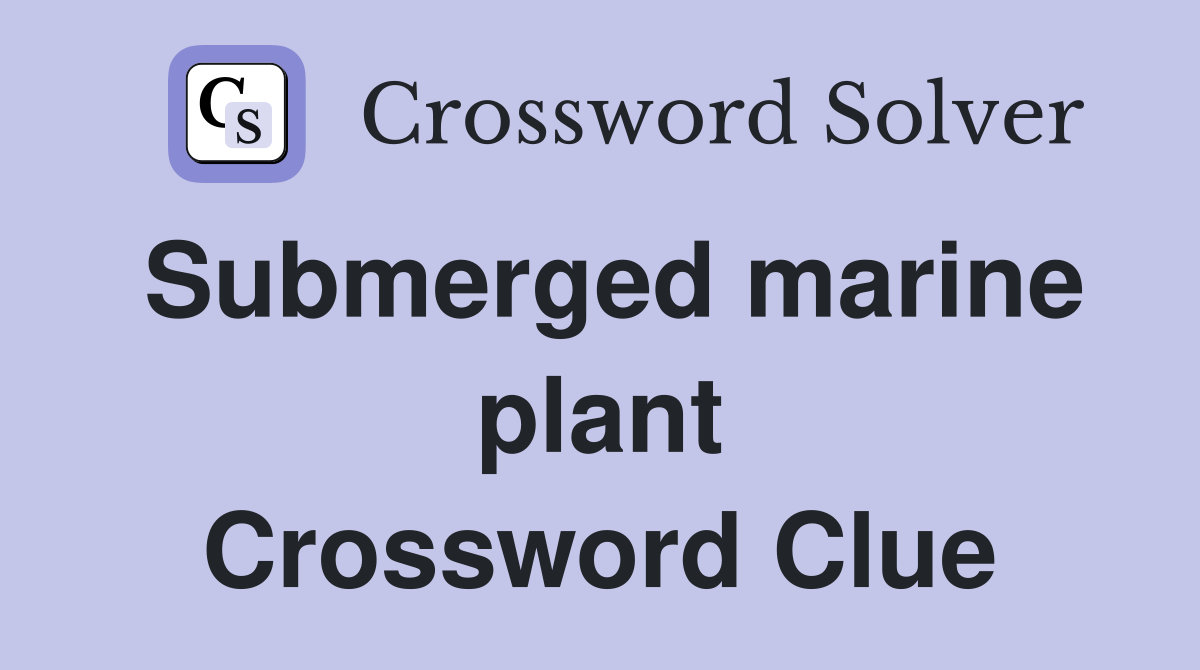 Submerged marine plant Crossword Clue