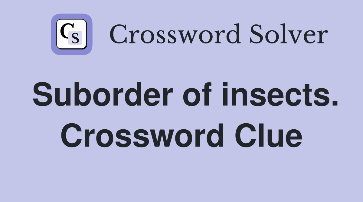 Suborder of insects. Crossword Clue