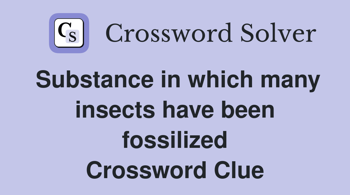 Substance in which many insects have been fossilized Crossword Clue