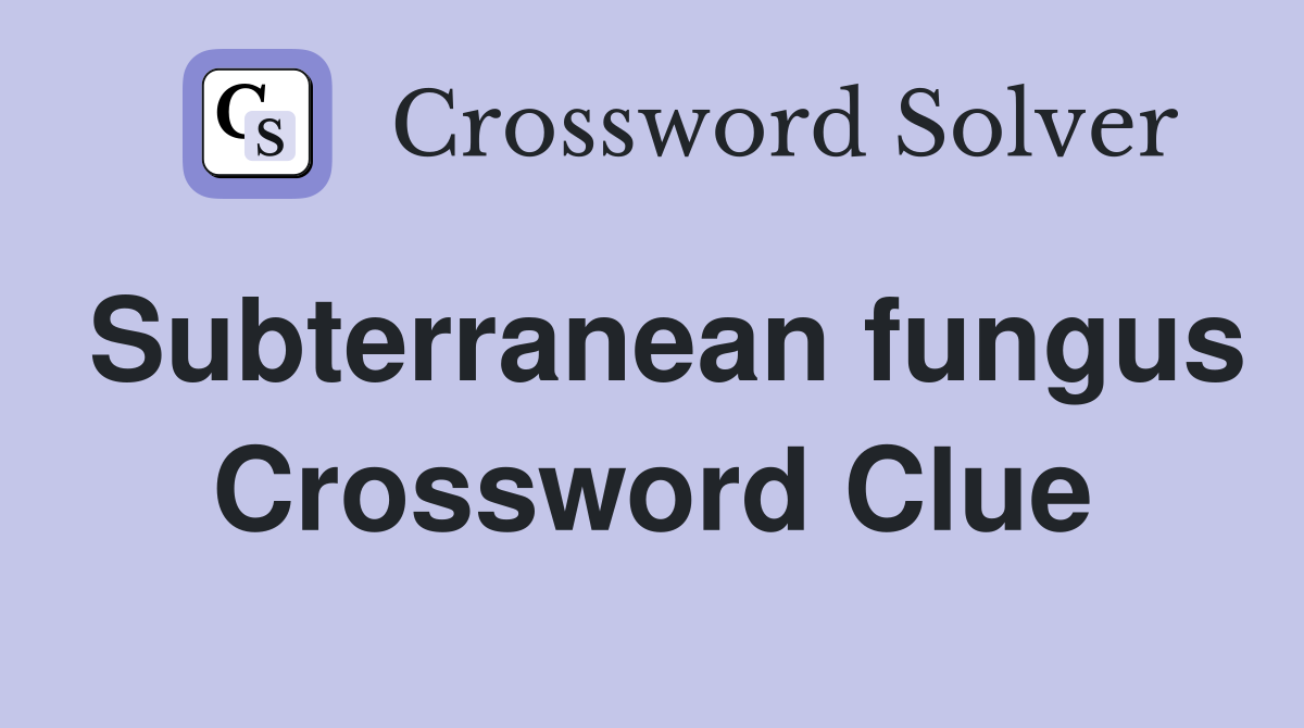 Subterranean fungus Crossword Clue