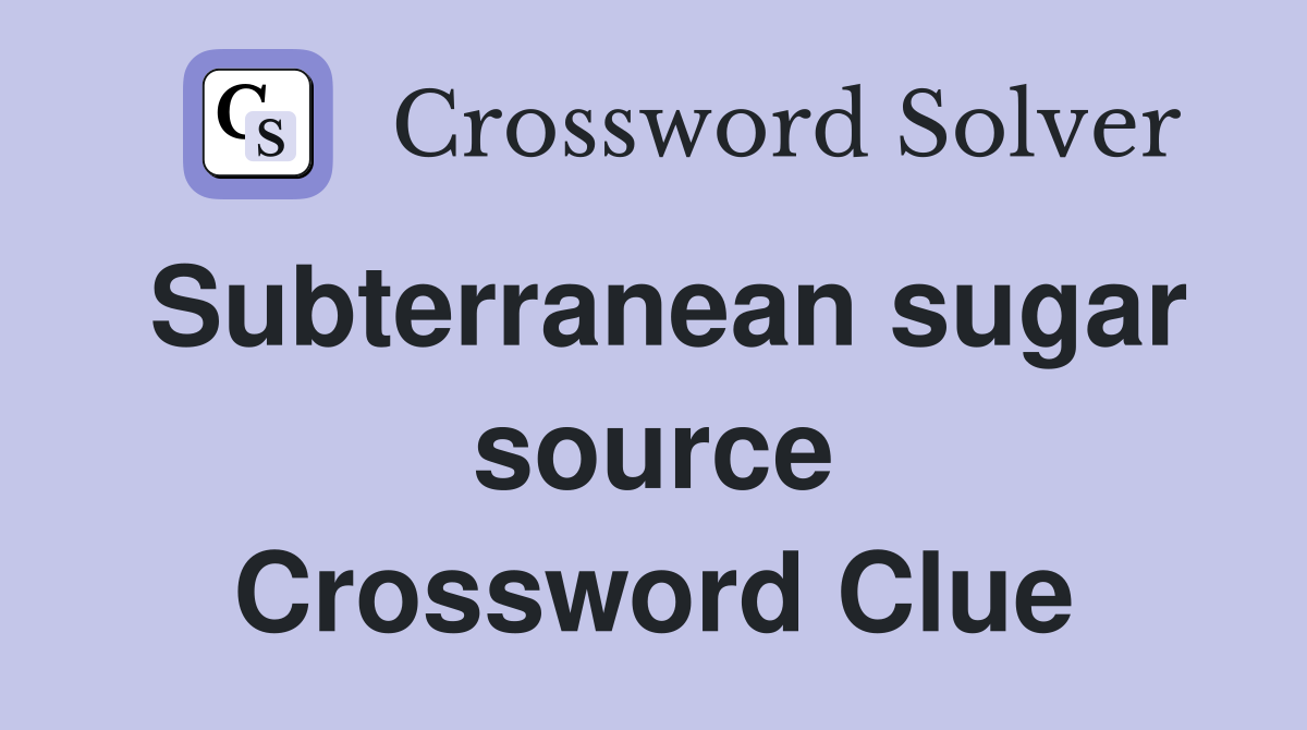 Subterranean sugar source Crossword Clue