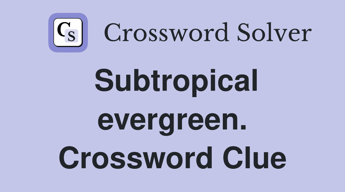 Subtropical evergreen. Crossword Clue