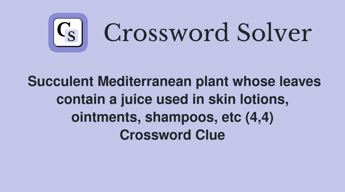 Succulent Mediterranean plant whose leaves contain a juice used in skin lotions, ointments, shampoos, etc (4,4) Crossword Clue