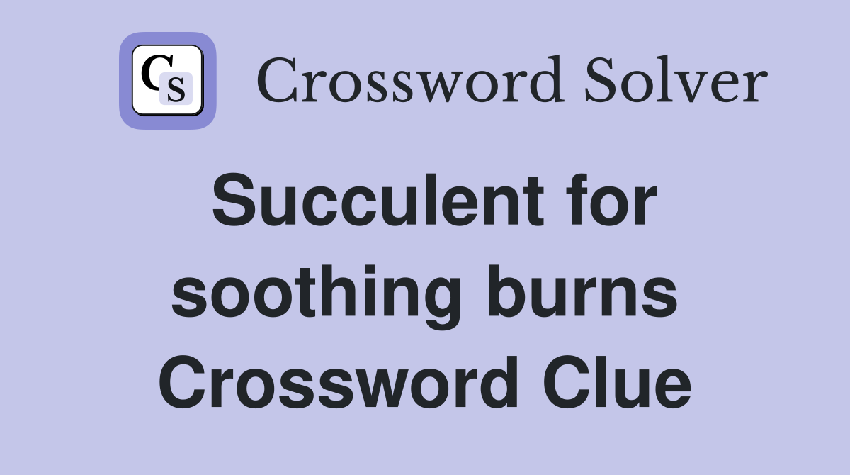 Succulent for soothing burns Crossword Clue