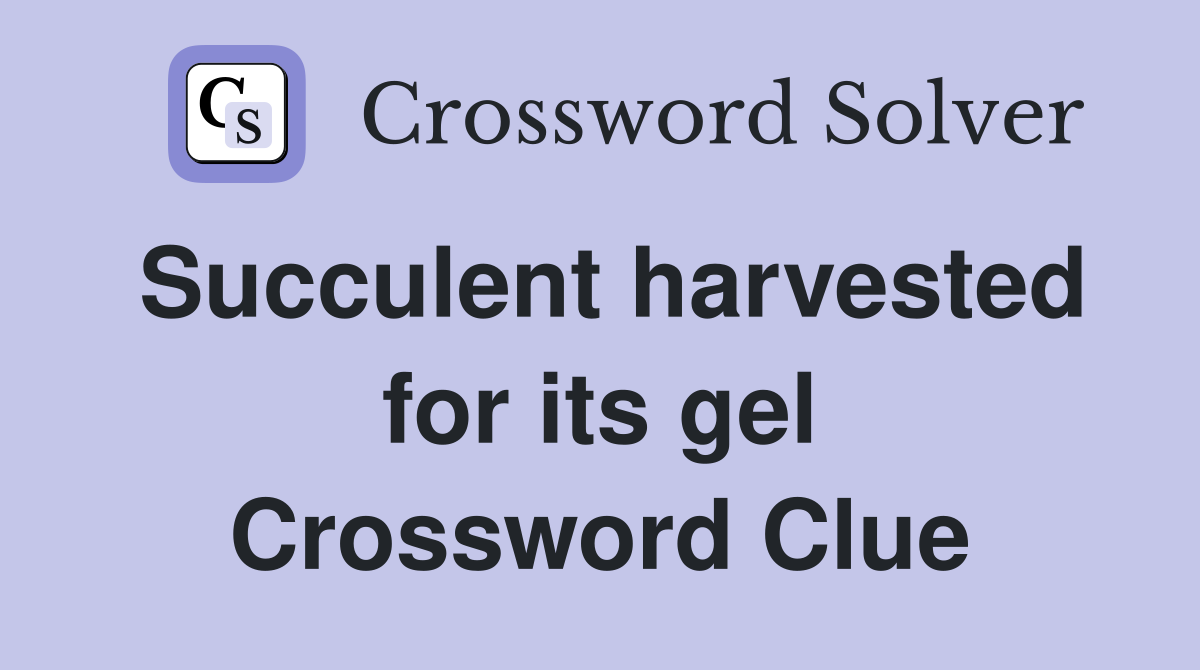 Succulent harvested for its gel Crossword Clue
