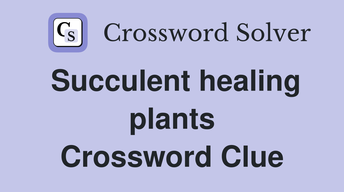 Succulent healing plants Crossword Clue