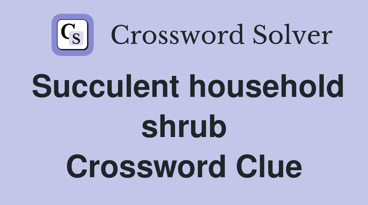 Succulent household shrub Crossword Clue