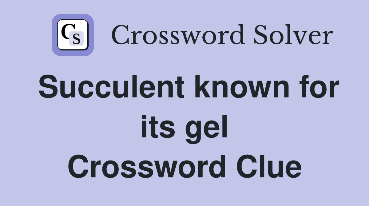 Succulent known for its gel Crossword Clue