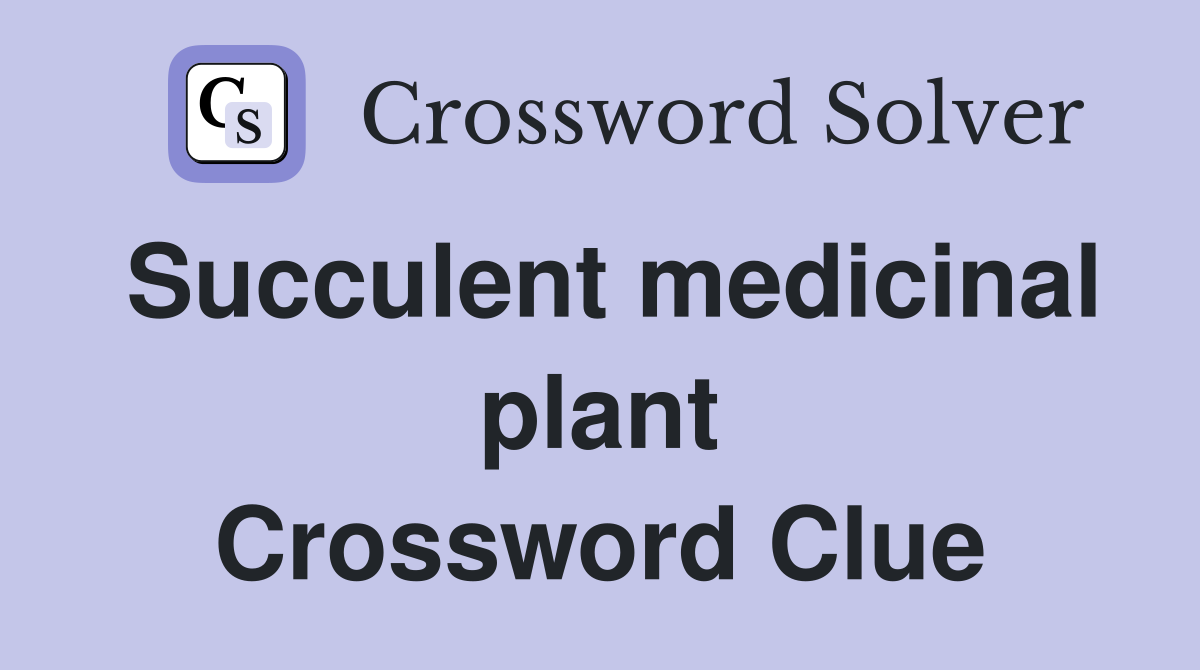 Succulent medicinal plant Crossword Clue