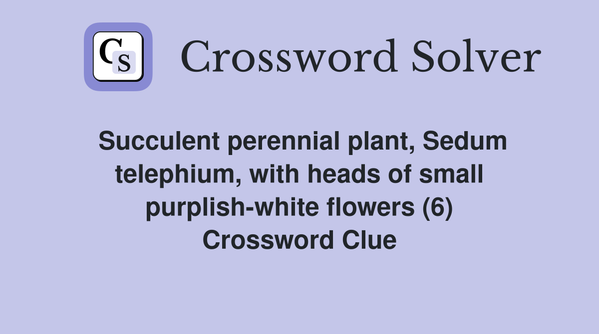 Succulent perennial plant, Sedum telephium, with heads of small purplish-white flowers (6) Crossword Clue