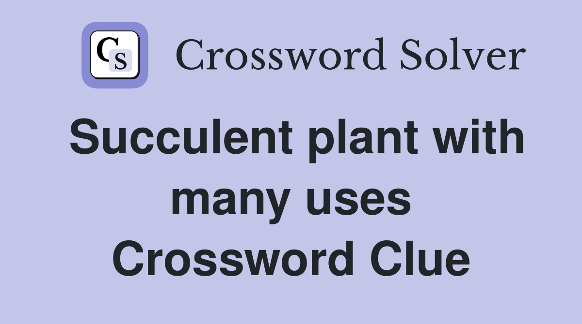 Succulent plant with many uses Crossword Clue