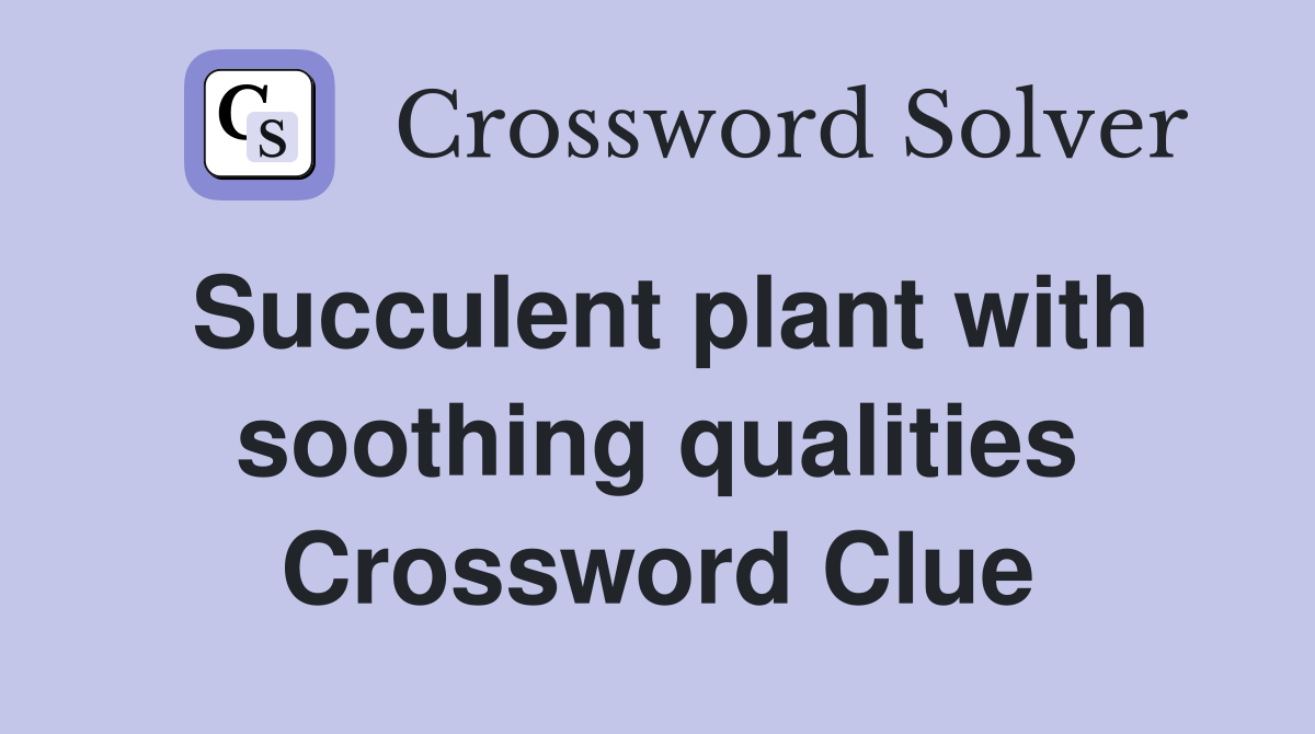 Succulent plant with soothing qualities Crossword Clue