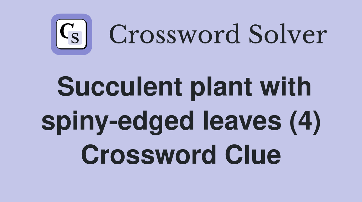 Succulent plant with spiny-edged leaves (4) Crossword Clue